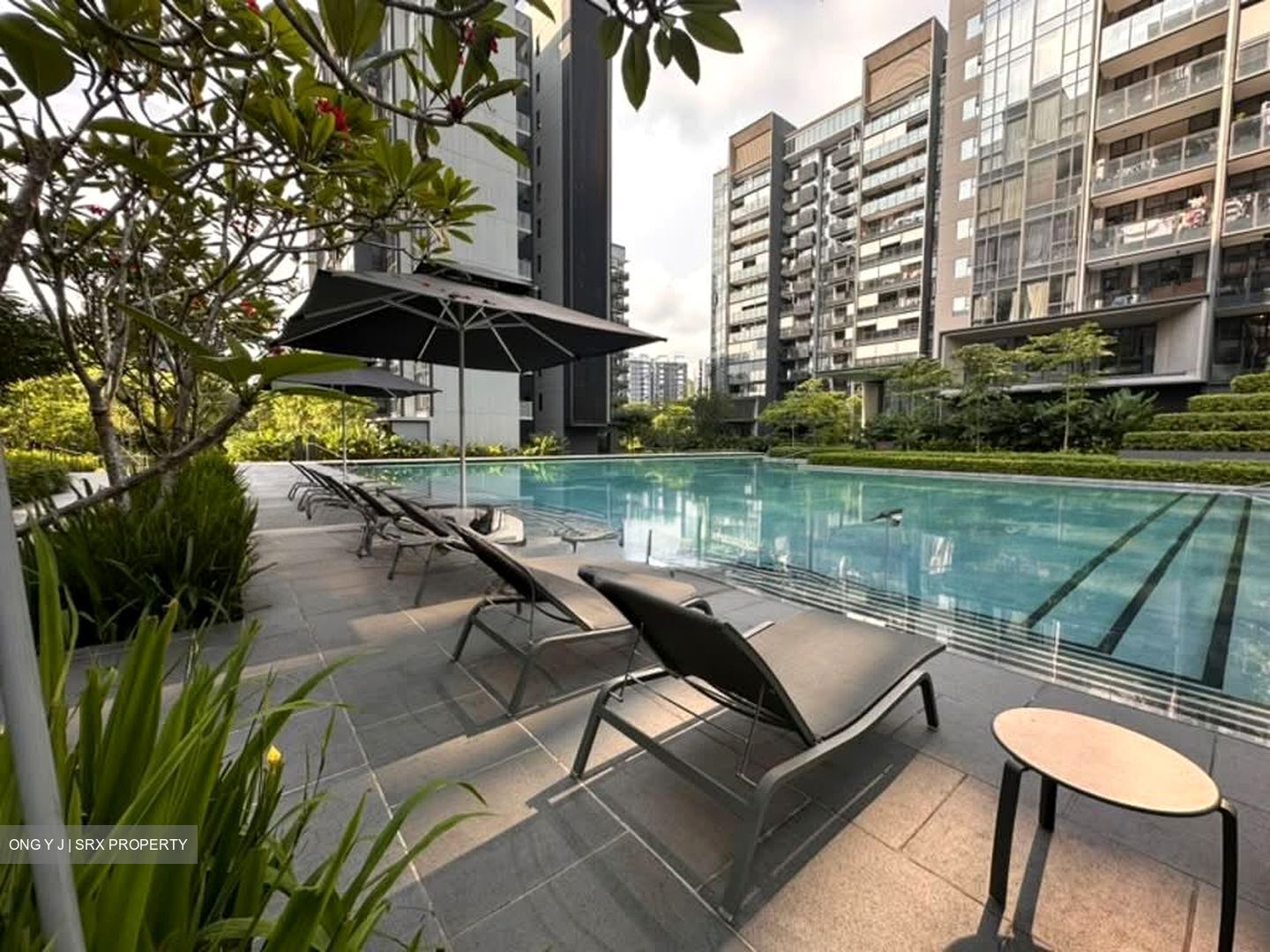 Leedon Green (D10), Condominium #557461111